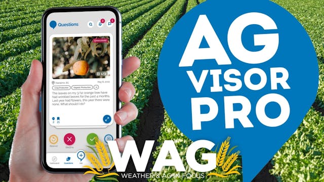 The Pro Behind AgVisor Pro App! WAG I...