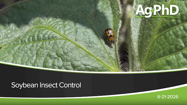 Soybean Insect Control | Ag PhD