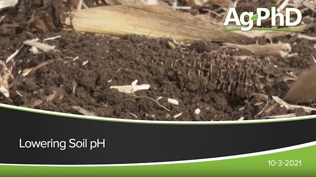 Lowering Soil pH | Ag PhD