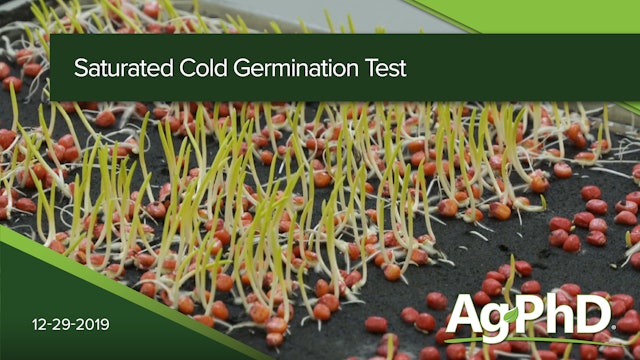 Saturated Cold Germination Test