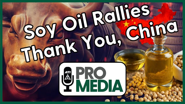 Soy Oil Rallies - Thank You, China | ...