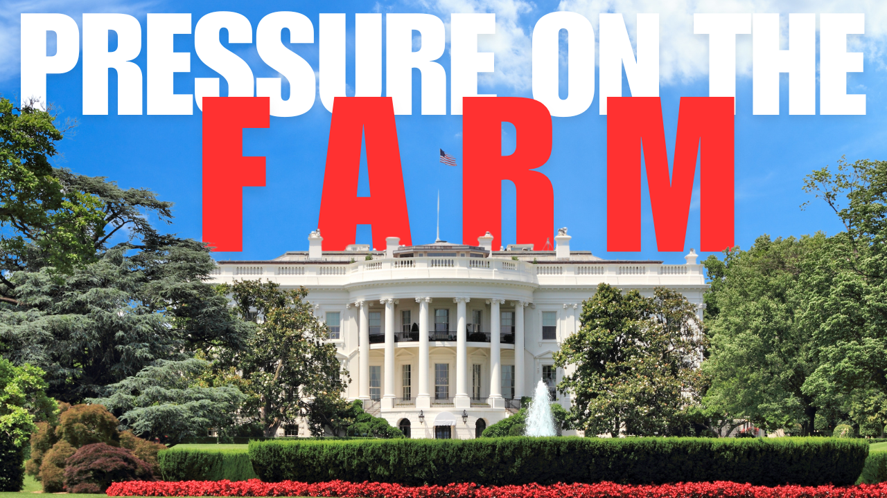 Has Tech Plateaued? | WAG in Focus 01-20-25