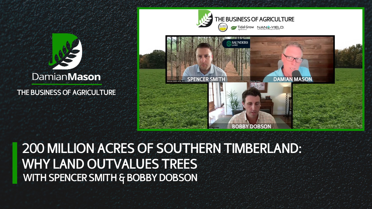 200M Acres of Southern Timberland: Why Land Outvalues Trees | Damian Mason