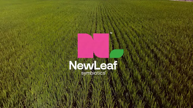 Meeting the Demand for Rice | NewLeaf...