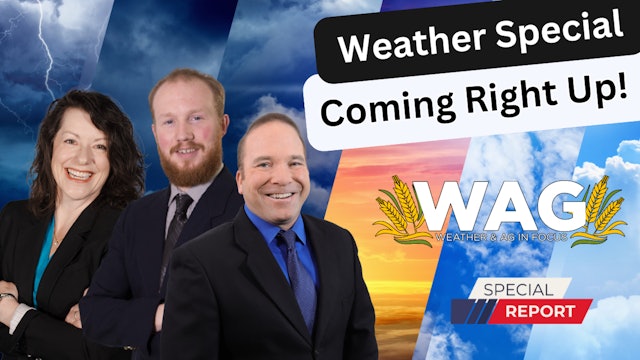 Weather Special Coming Right Up! | WAG in Focus 3/20/24