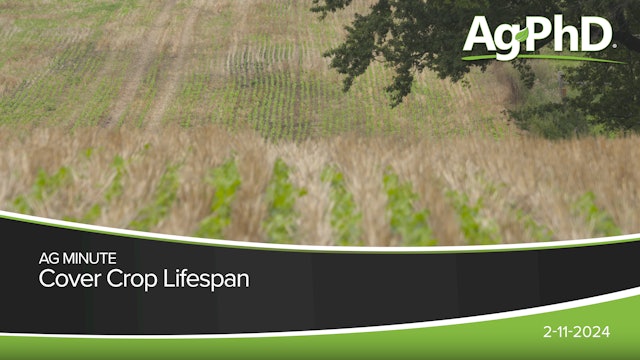  Cover Crop Lifespan | Ag PhD
