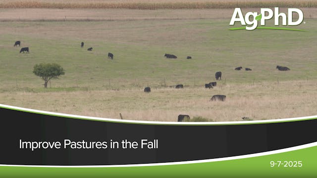 Improve Pastures in the Fall | Ag PhD