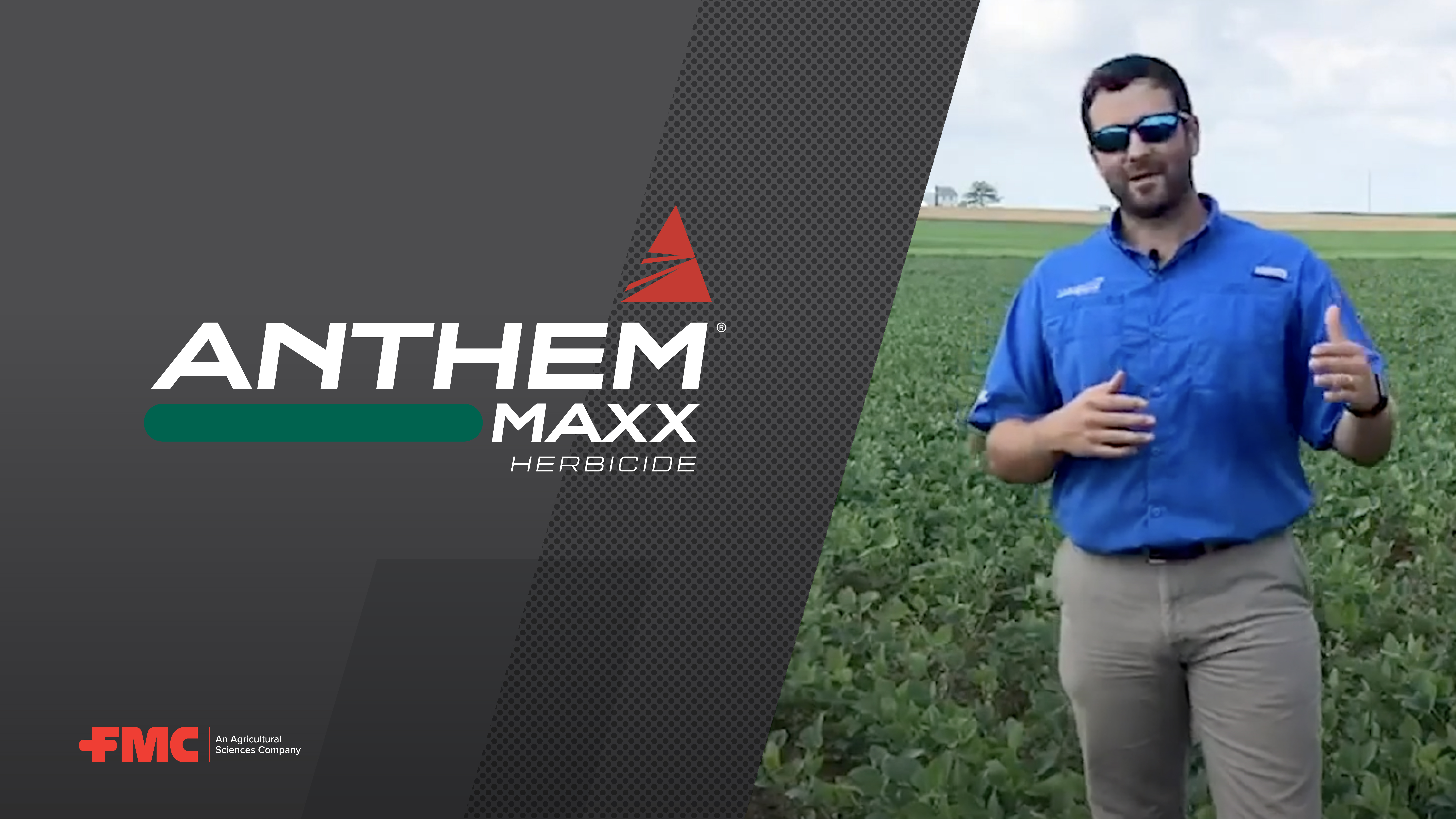 POST Herbicide Application Watchouts | FMC