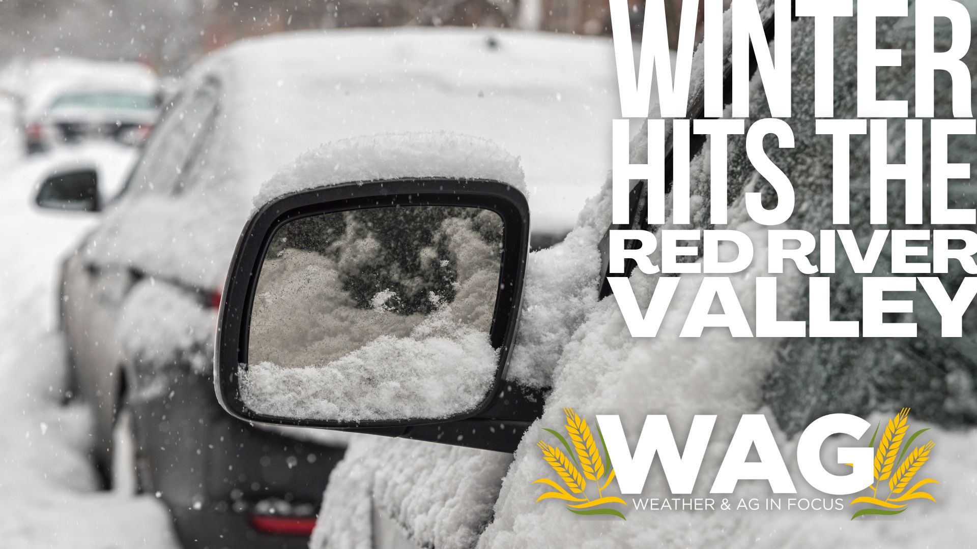 Winter hitting the Valley! 12-14-22 Wag In Focus