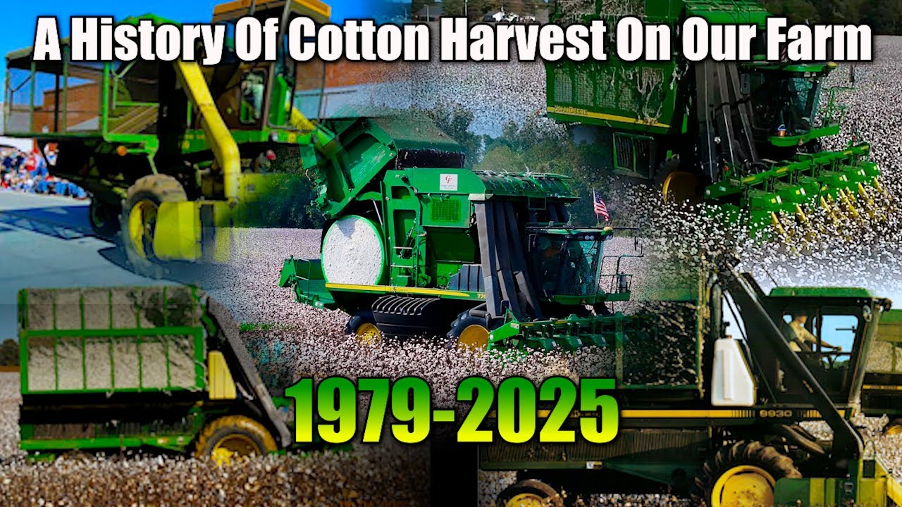 A History of Cotton Harvest on Our Farm!  Cotton Harvest #11 | Griggs Farms