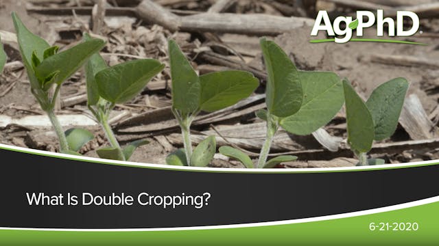 What Is Double Cropping? | Ag PhD