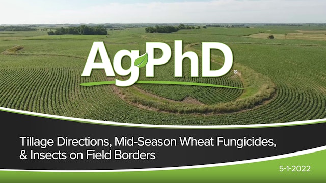 Tillage Directions, Mid-Season Wheat Fungicides, Insects on Field Borders|Ag PhD