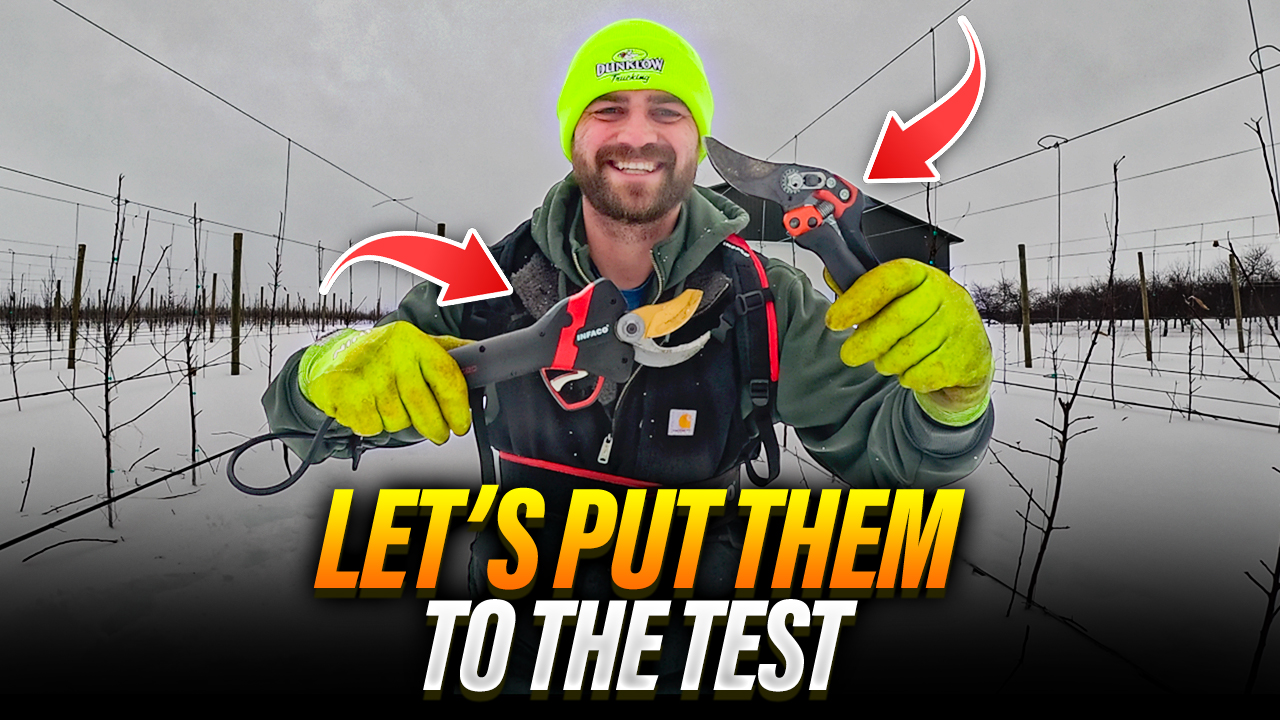 Hand Pruners or Electric? I Put Them To The Test In My Orchard | Pomes and Stone