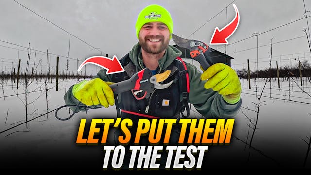 Hand Pruners or Electric? I Put Them ...