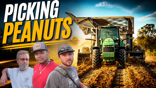 Great First Day Picking Peanuts | Fie...