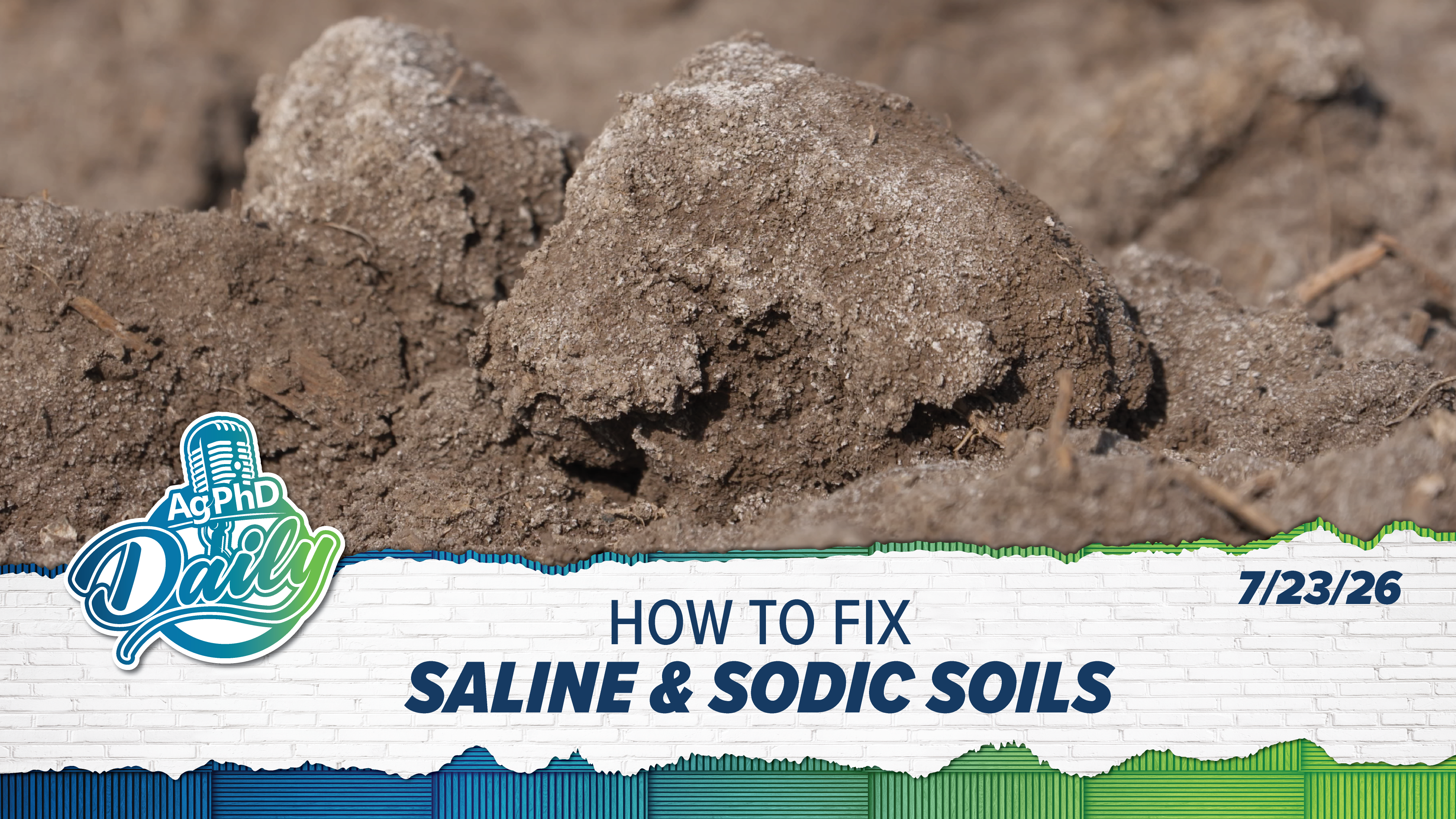 How to Fix Saline & Sodic Soils | Ag PhD Daily | 7/23/26