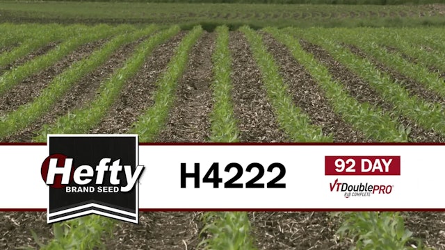 H4222 | 92-Day | VT2P