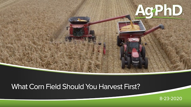 What Corn Field Should You Harvest First? | Ag PhD