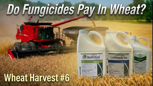 The Results Are In! Do Fungicides Pay...
