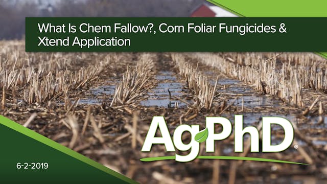 What is Chem Fallow? Corn Foliar Fung...
