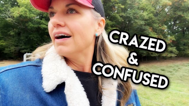 Cows, Creep Feed & Corn Prep || This ...