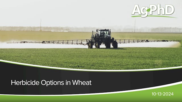 Herbicide Options in Wheat | Ag PhD