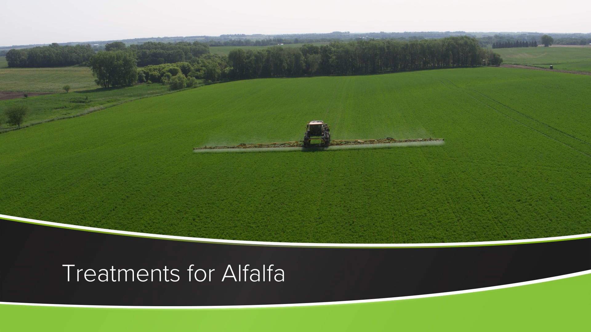 Treatments for Alfalfa | Ag PhD