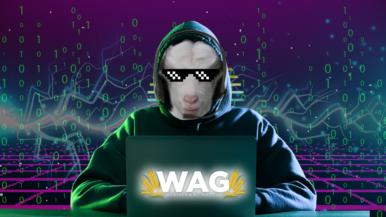 CyberSecurity SuperHero | WAG in Focus 08-18-25