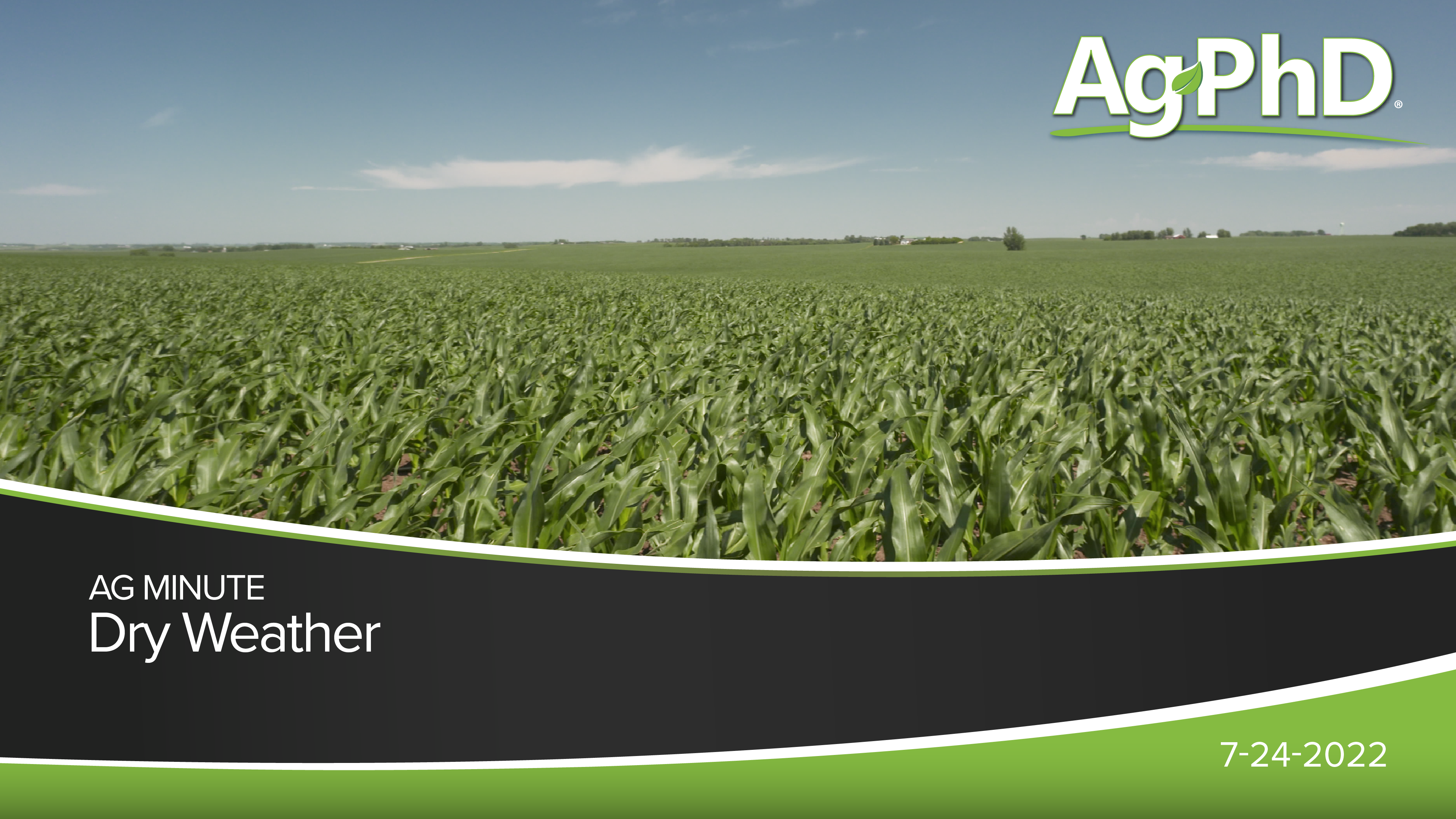 Dry Weather | Ag PhD