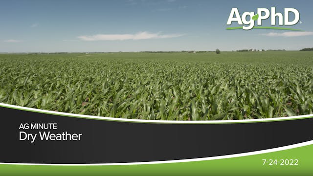 Dry Weather | Ag PhD