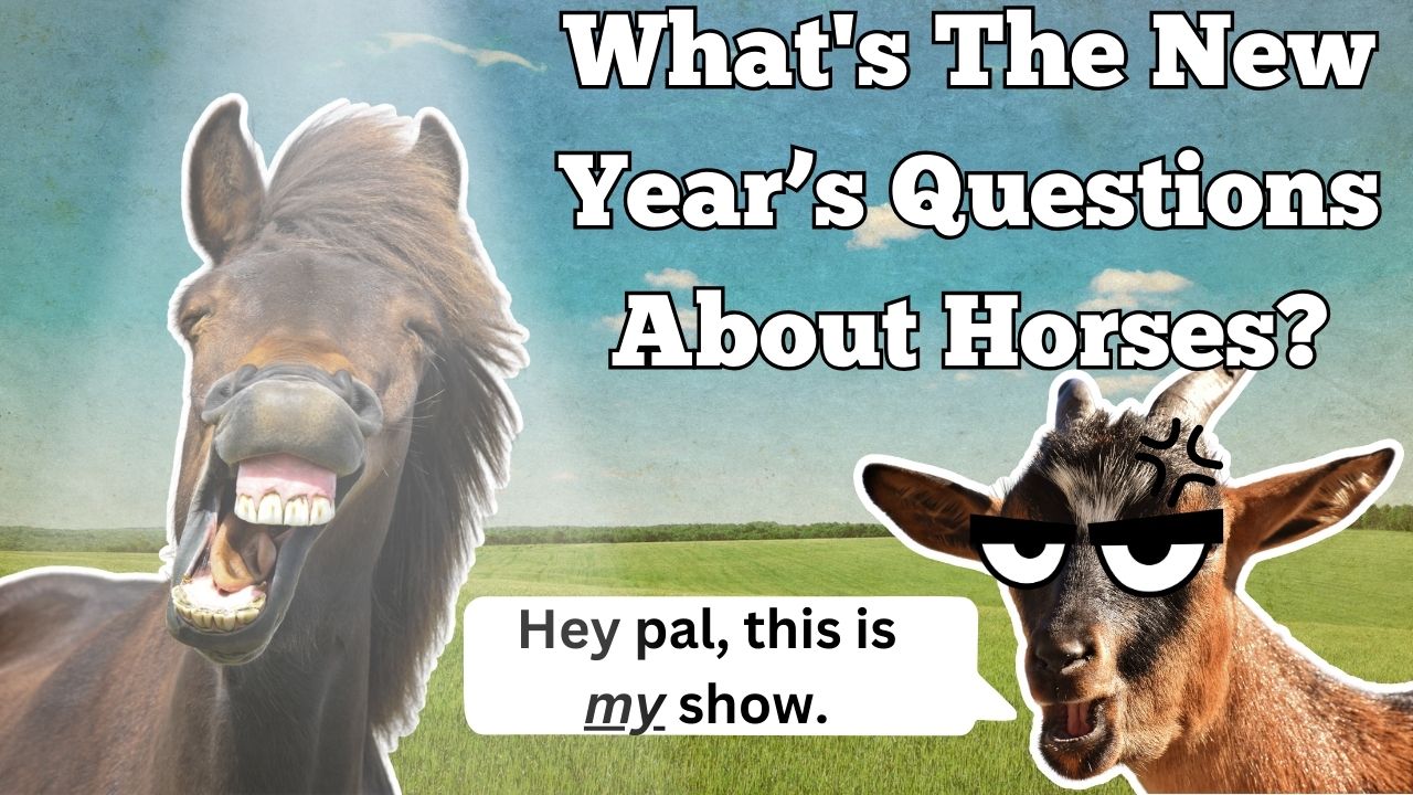 What's The New Year's Questions About Horses? | WAG in Focus 1/12/24