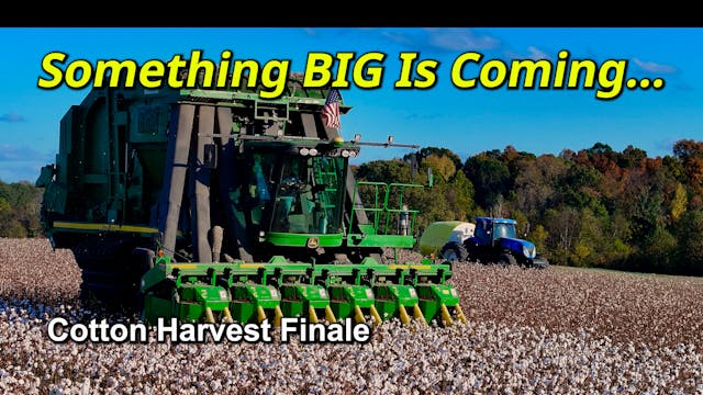 Something BIG Is Coming... | Cotton H...