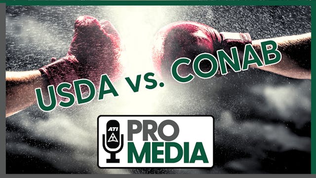 USDA vs.CONAB | ATI ProMedia 09/12/2024