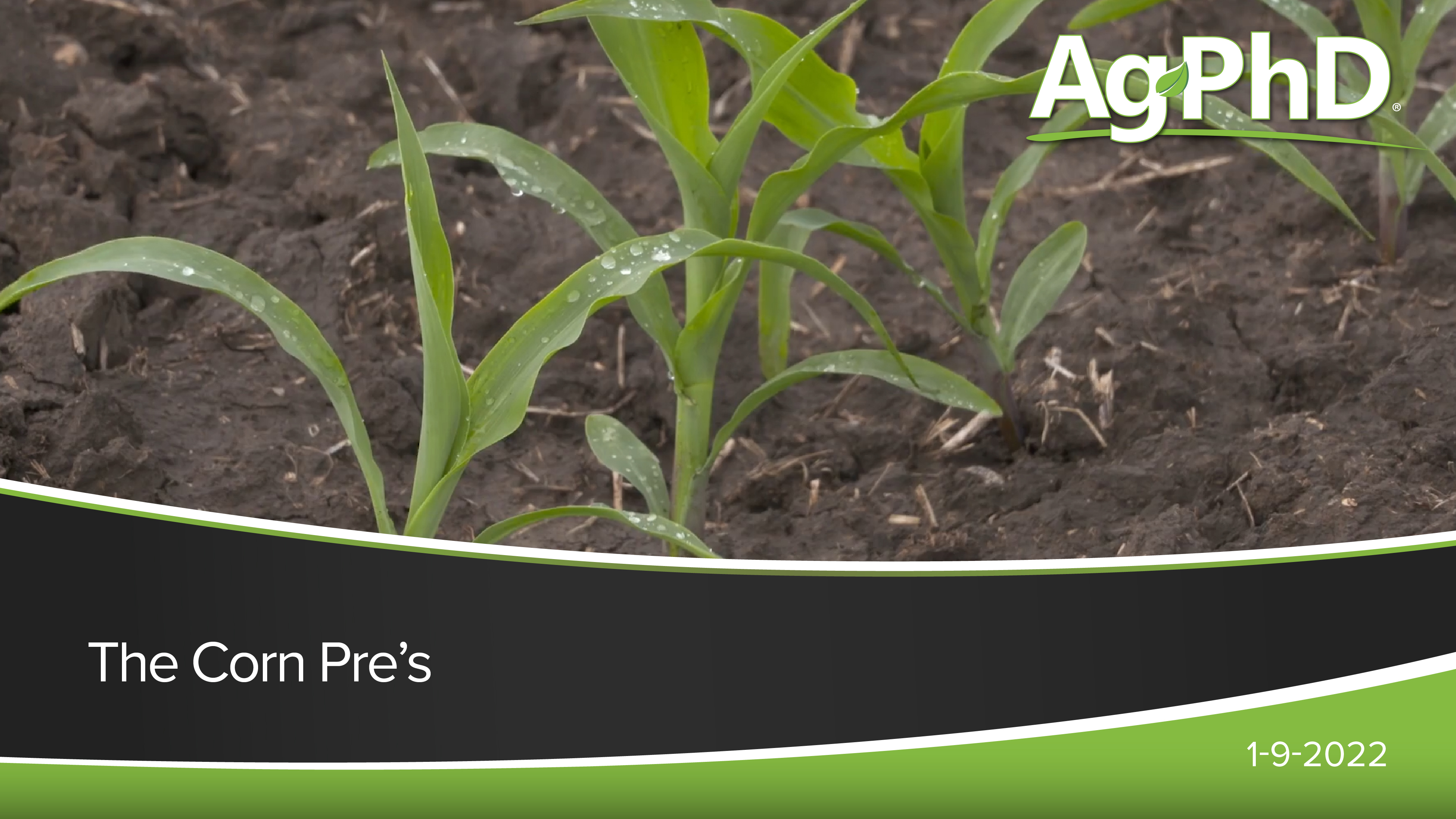 The Corn Pre's | Ag PhD