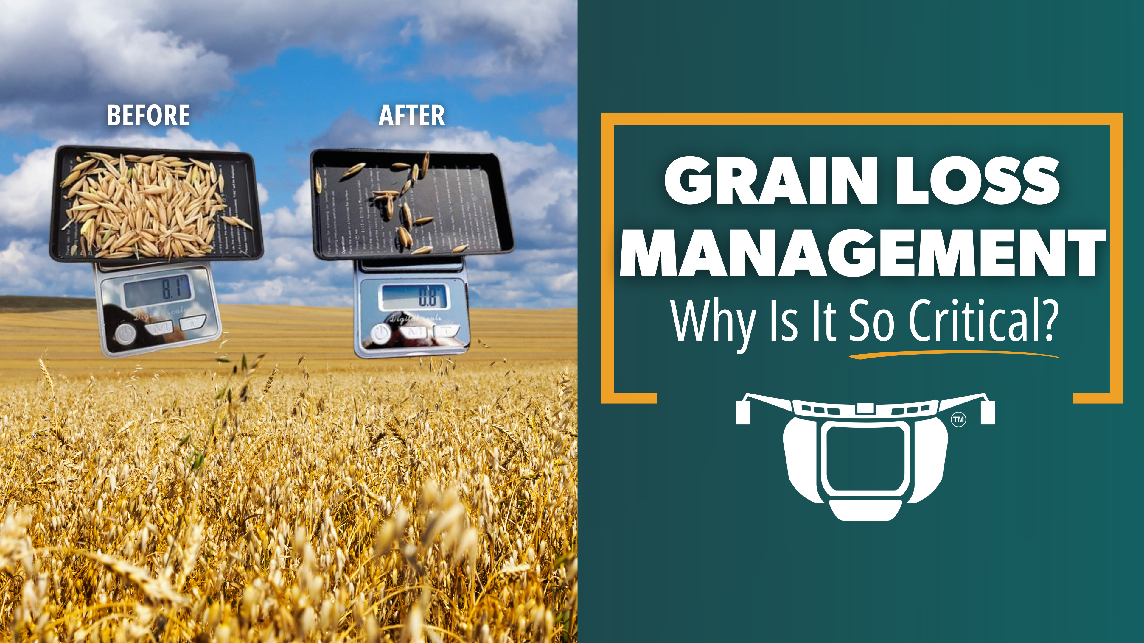 Why is Grain Loss Management So Critical? | Bushel Plus