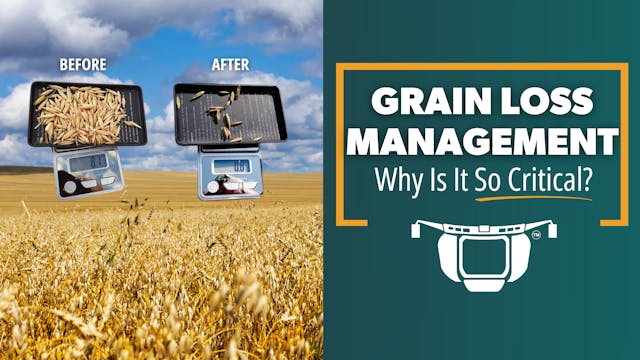 Why is Grain Loss Management So Criti...