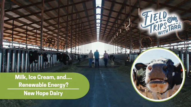 Milk, Ice Cream, and… Energy? You’ve ...