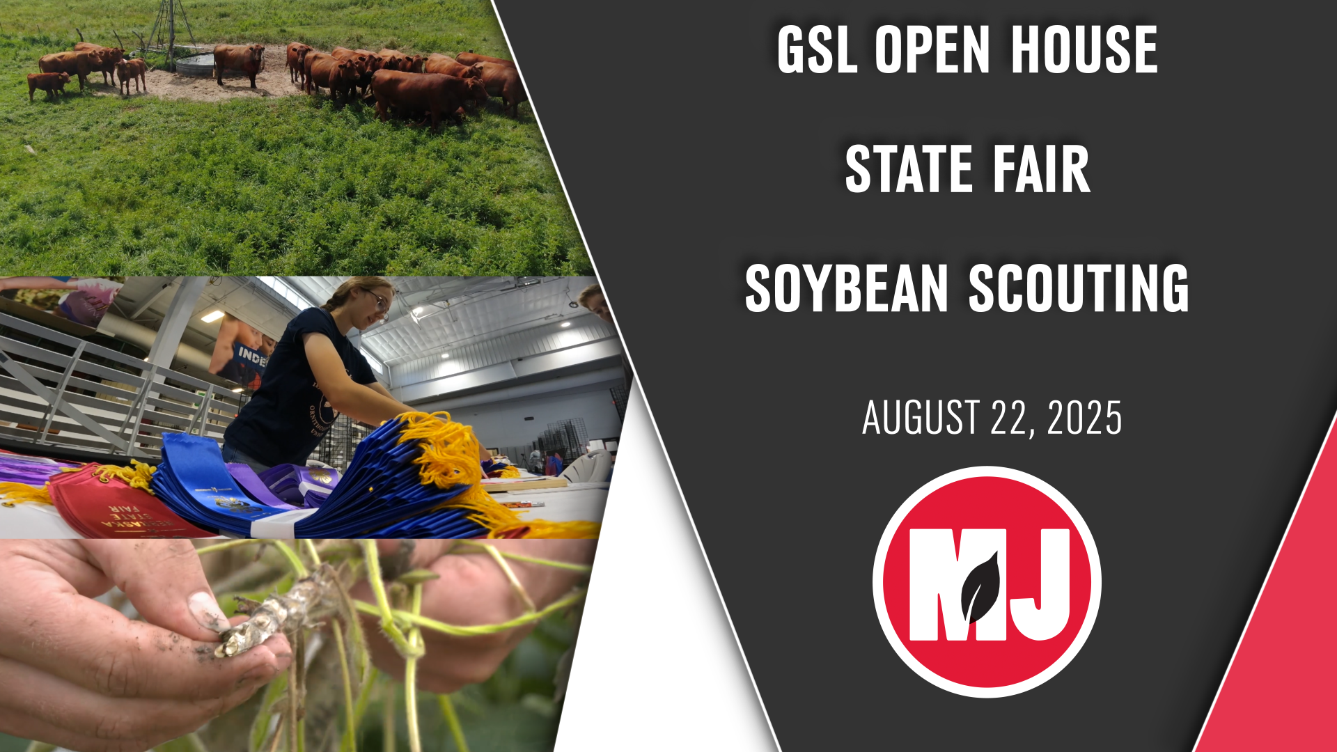 August 22, 2025 | Market Journal