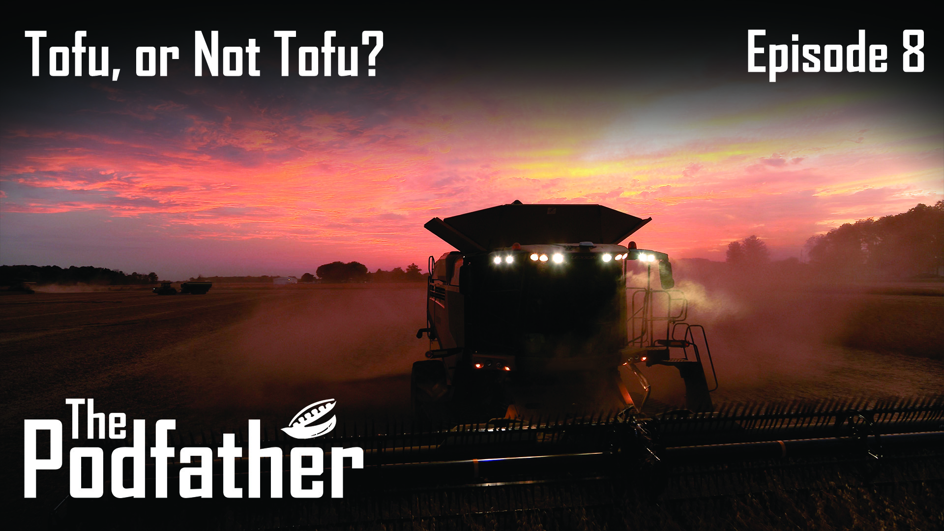 The Podfather | 108 | Tofu, or Not Tofu?