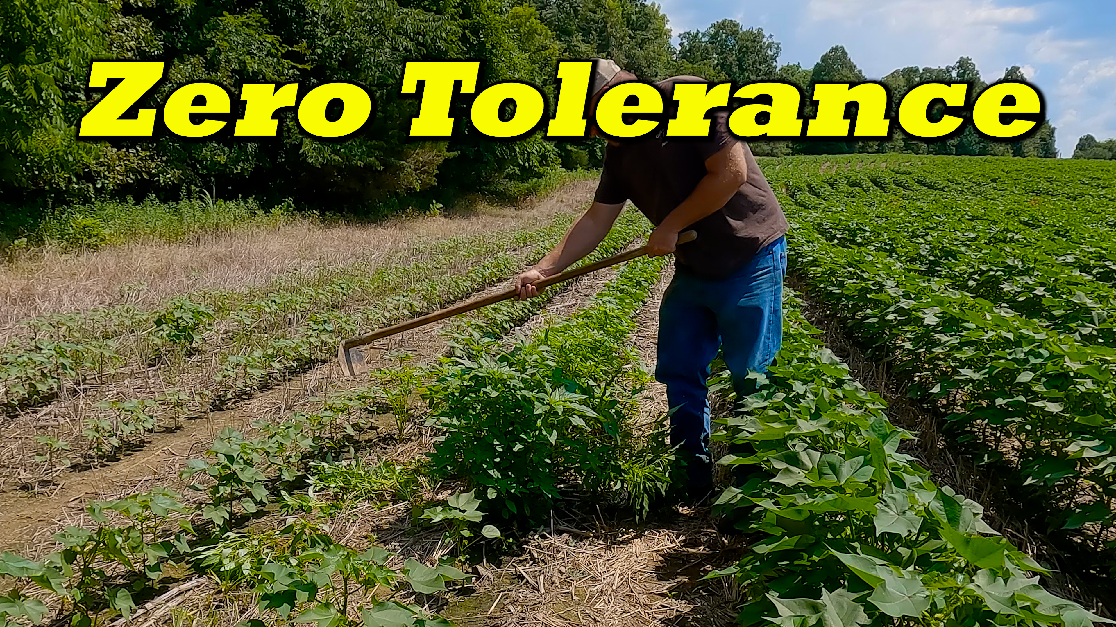 Never Resistant To Cold Steel | Griggs Farms