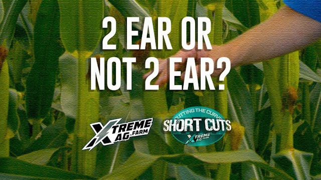 2 Ear or Not 2 Ear