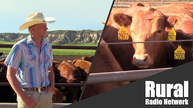Cattle to Crops: Ranch in Western Neb...