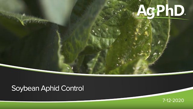 Soybean Aphid Control | Ag PhD