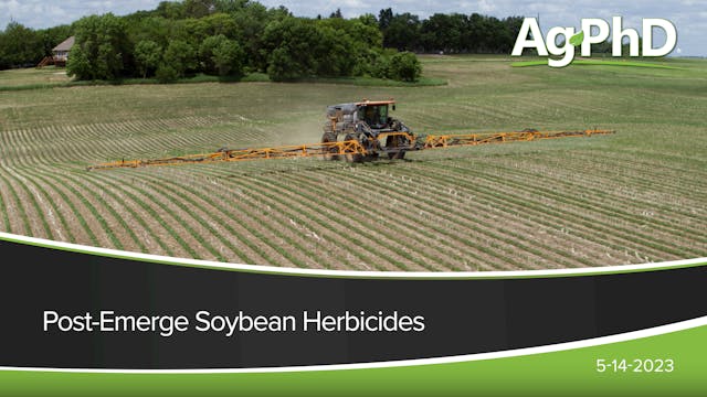 Post-Emerge Soybean Herbicides | Ag PhD