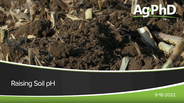 Raising Soil pH
