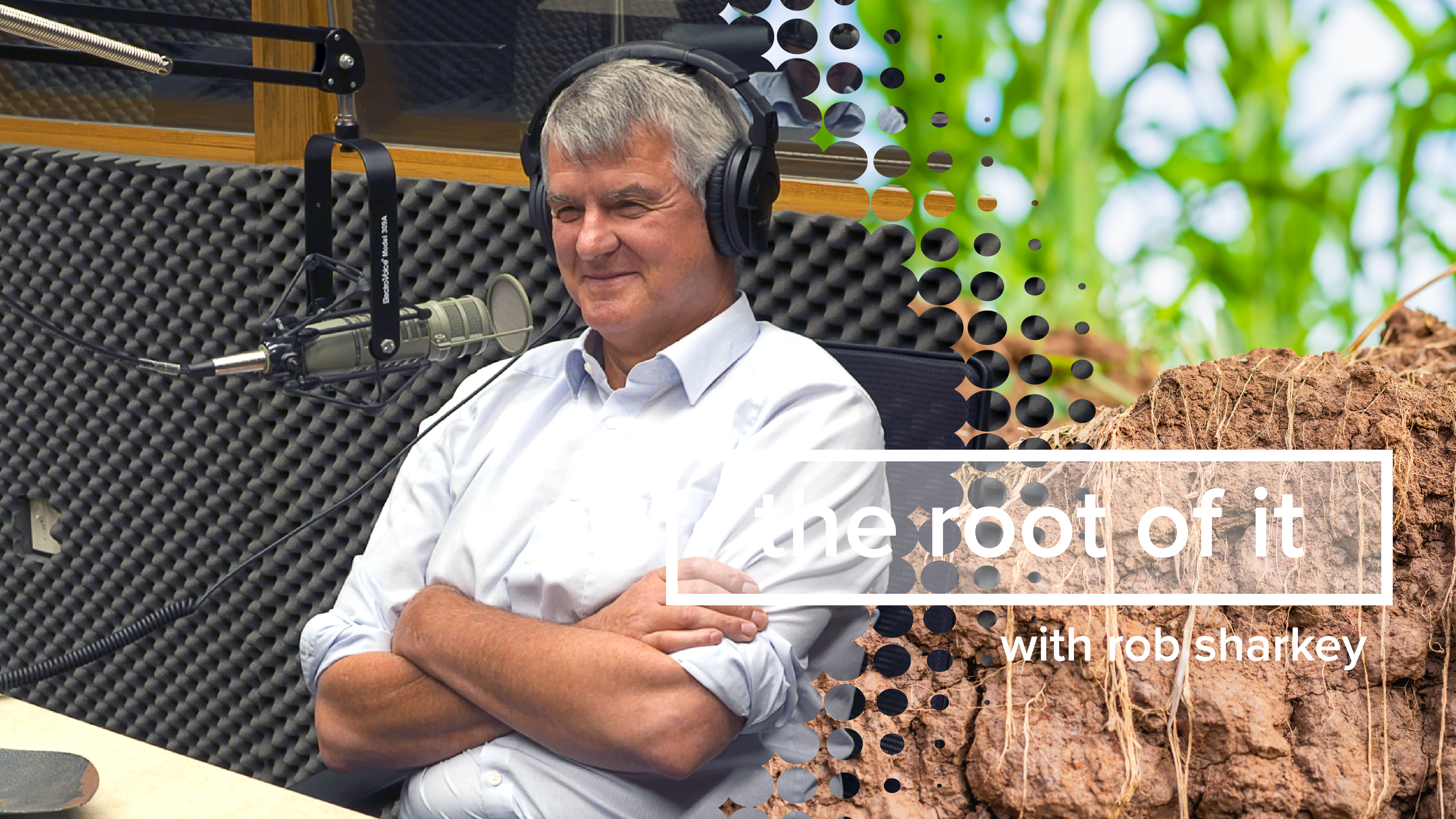 Michael Horsch | The Root of It