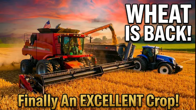 Trend Reversal:  An Excellent Wheat C...