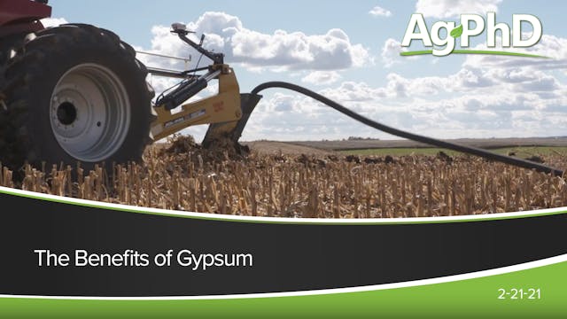 The Benefits of Gypsum | Ag PhD