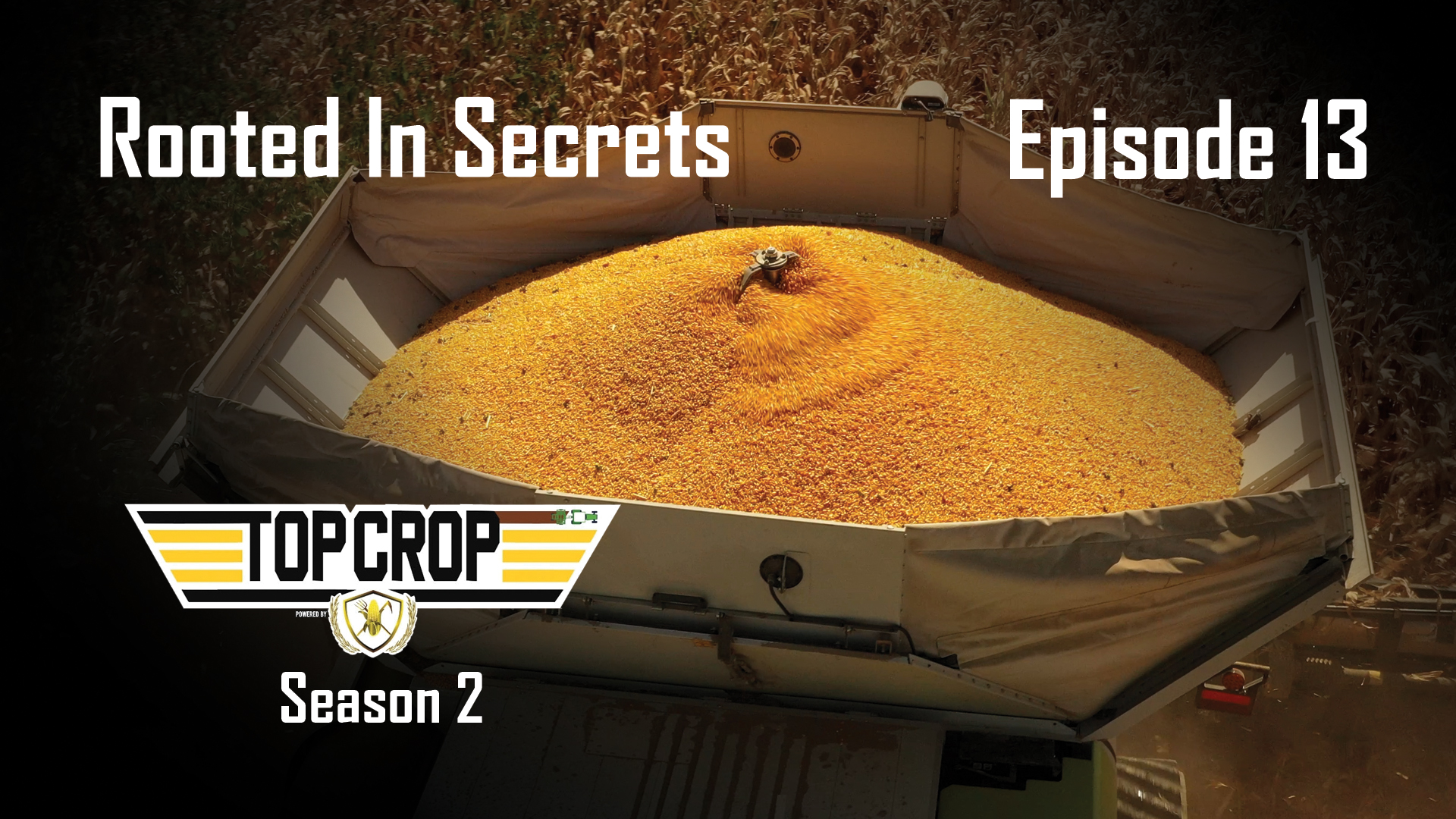Rooted in Secrets | Episode 13 | Top Crop