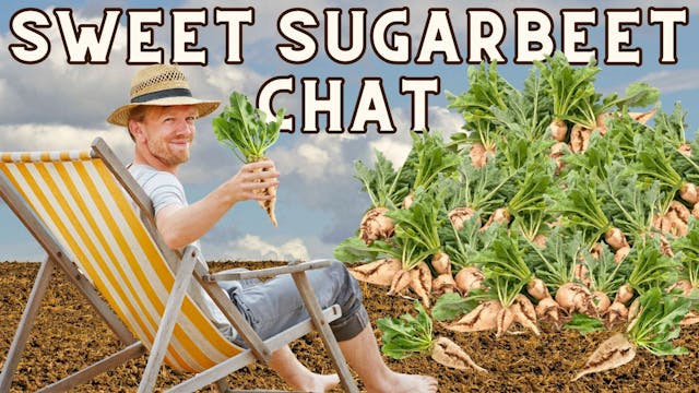 Sweet Sugarbeet Chat | WAG in Focus 3...